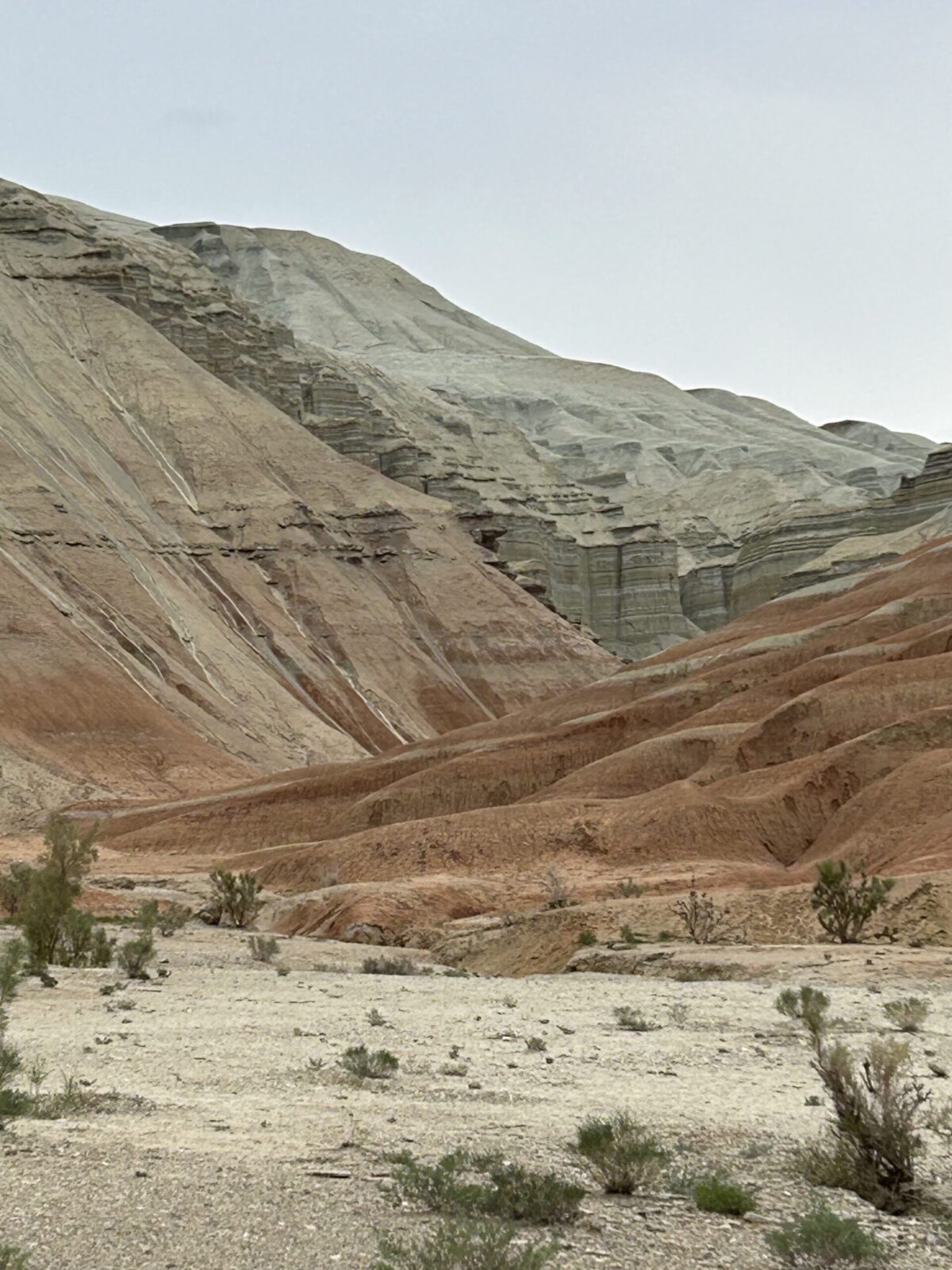 Desierto kazako